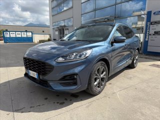 FORD Kuga 1.5 ecoblue ST-Line 2wd 120cv auto