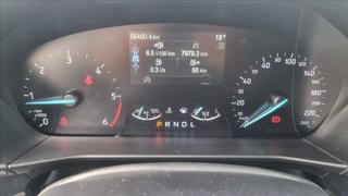 FORD Focus 1.5 ecoblue st-line 120cv auto