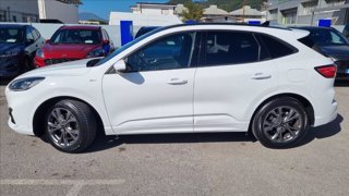 FORD Kuga 1.5 ecoblue st-line 2wd 120cv auto