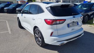 FORD Kuga 1.5 ecoblue st-line 2wd 120cv auto