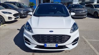 FORD Kuga 1.5 ecoblue st-line 2wd 120cv auto