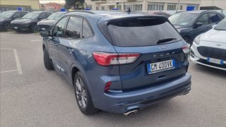 FORD Kuga 2.0 ecoblue st-line x 2wd 120cv auto