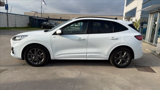 FORD Kuga 2.0 ecoblue ST-Line X 2wd 120cv auto