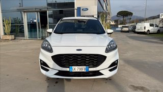 FORD Kuga 2.0 ecoblue ST-Line X 2wd 120cv auto