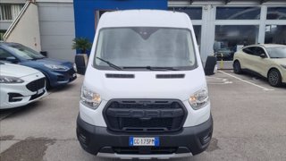 FORD Transit 350 2.0 tdci mhev 130cv trail l3h2 e6.2