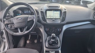 FORD Kuga 1.5 tdci Plus s&s 2wd 120cv my18