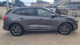 FORD Kuga 2.0 ecoblue st-line x 2wd 120cv auto