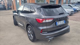 FORD Kuga 2.0 ecoblue st-line x 2wd 120cv auto