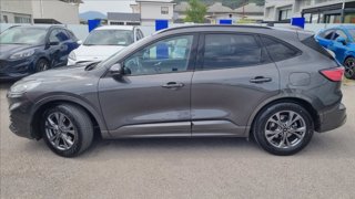 FORD Kuga 1.5 ecoblue st-line 2wd 120cv
