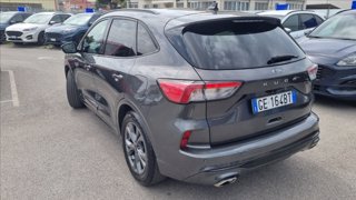 FORD Kuga 1.5 ecoblue st-line 2wd 120cv