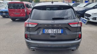 FORD Kuga 1.5 ecoblue st-line 2wd 120cv
