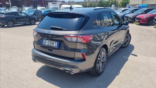 FORD Kuga 1.5 ecoblue st-line 2wd 120cv