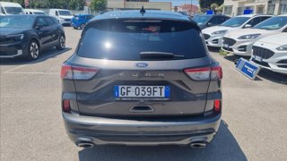 FORD Kuga 1.5 ecoblue st-line 2wd 120cv
