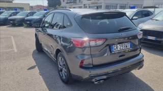 FORD Kuga 2.5 full hybrid st-line x 2wd 190cv cvt