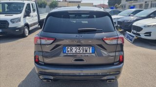 FORD Kuga 2.5 full hybrid st-line x 2wd 190cv cvt