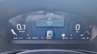 FORD Focus 1.5 ecoblue ST-Line X 115cv auto
