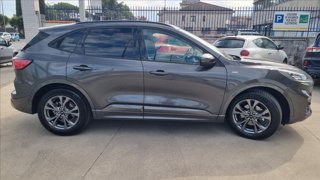 FORD Kuga 1.5 ecoblue st-line x 2wd 120cv auto