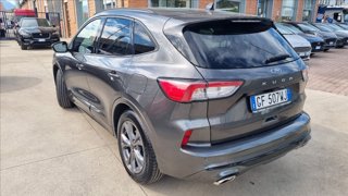 FORD Kuga 1.5 ecoblue st-line x 2wd 120cv auto
